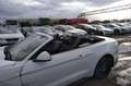 Ford Mustang VII  2.3  CABRIOLET  317 Blanc - thumbnail 12