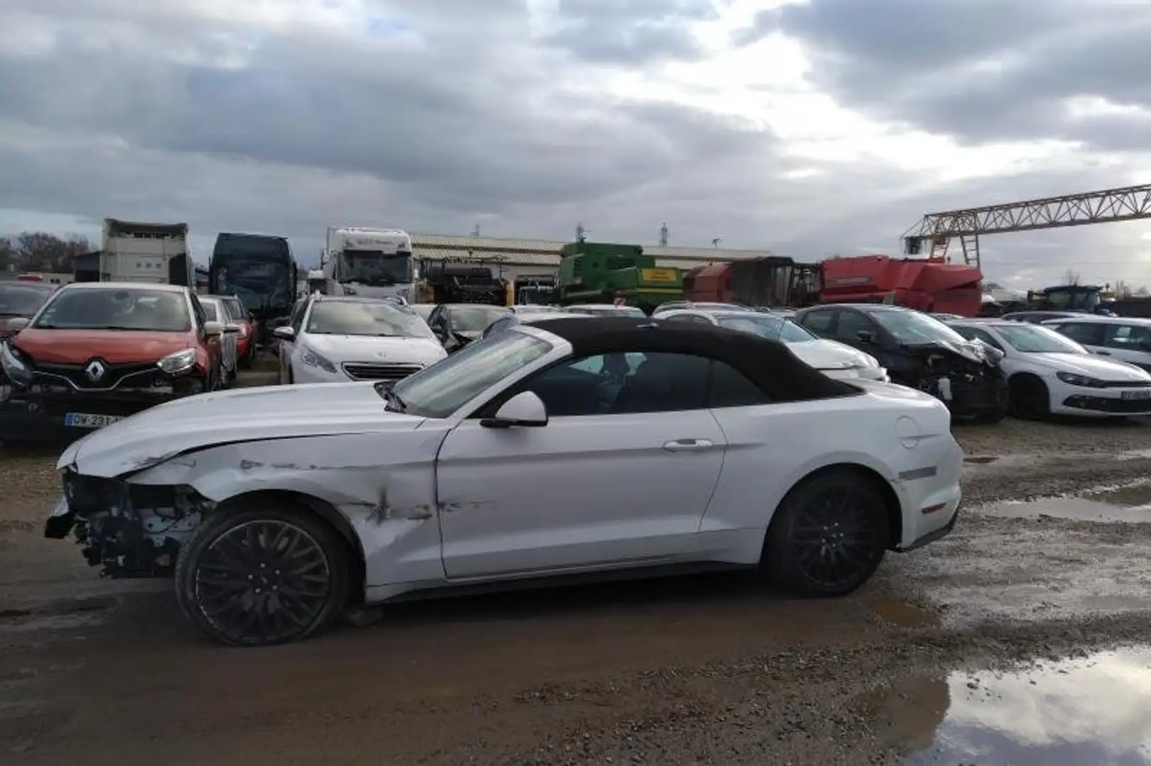 Ford Mustang VII  2.3  CABRIOLET  317 Bianco - 2