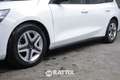 Ford Focus SW 1.5 Ecoblue 120CV Business Auto Blanc - thumbnail 3