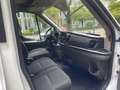 Ford Transit Kasten 350 L3 Trend Weiß - thumbnail 15
