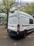 Ford Transit Kasten 350 L3 Trend Weiß - thumbnail 3