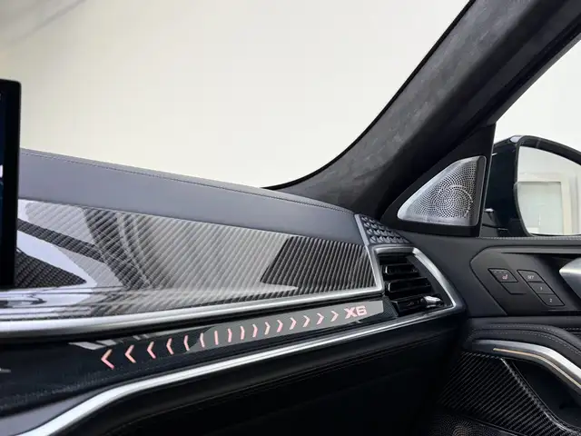 BMW X6 view 10