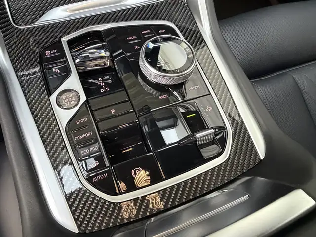 BMW X6 view 11