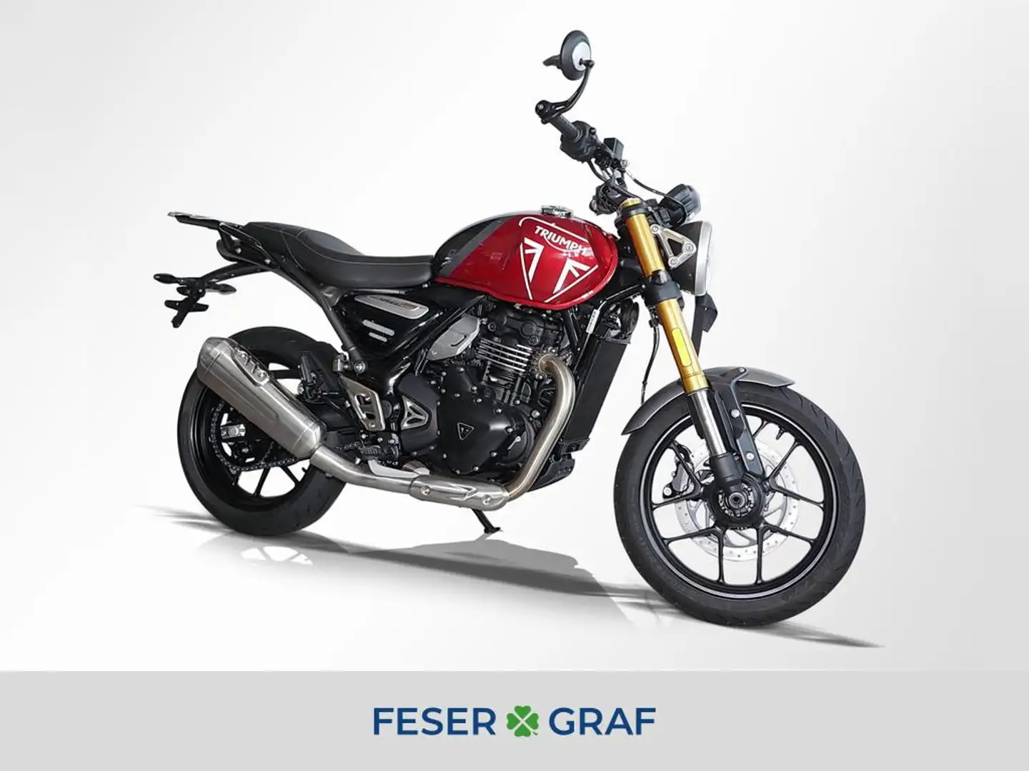 Triumph sofort verfügbar Rouge - 1
