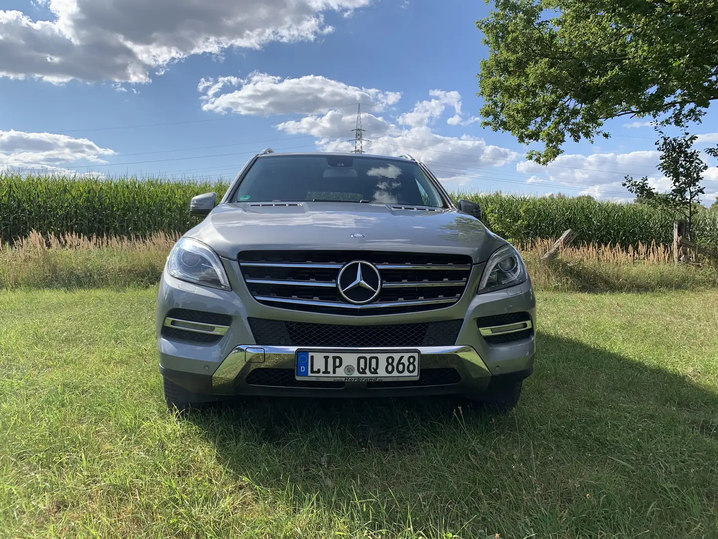 Mercedes-Benz ML 350 M-Klasse Diesel BlueTEC 4MATIC 7G-TRONIC Silber - 2