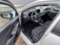 Mazda 2 1.5L e-SKYACTIV G 90ps Weiß - thumbnail 3