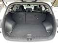 Hyundai TUCSON Select Klimaautom Kollisionswarner Multif.Lenkrad Bílá - thumbnail 12