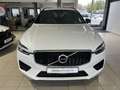 Volvo XC60 B4 (D) R-Design AWD ACC BLIS Massage AHK Blanc - thumbnail 3