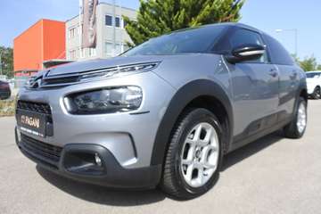 C4 Cactus 110 Shine ETG Shine
