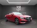 Mercedes-Benz E 220 d Cabrio | Leder | Aircap | Airscarf | AHK Rot - thumbnail 7