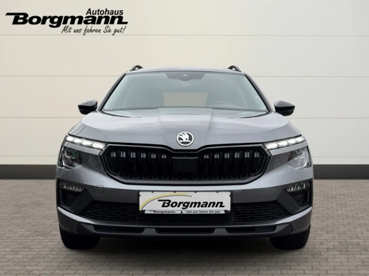 Skoda Kamiq Selection - LED - Apple CarPlay - Rückfahrkamera Grigio - 2