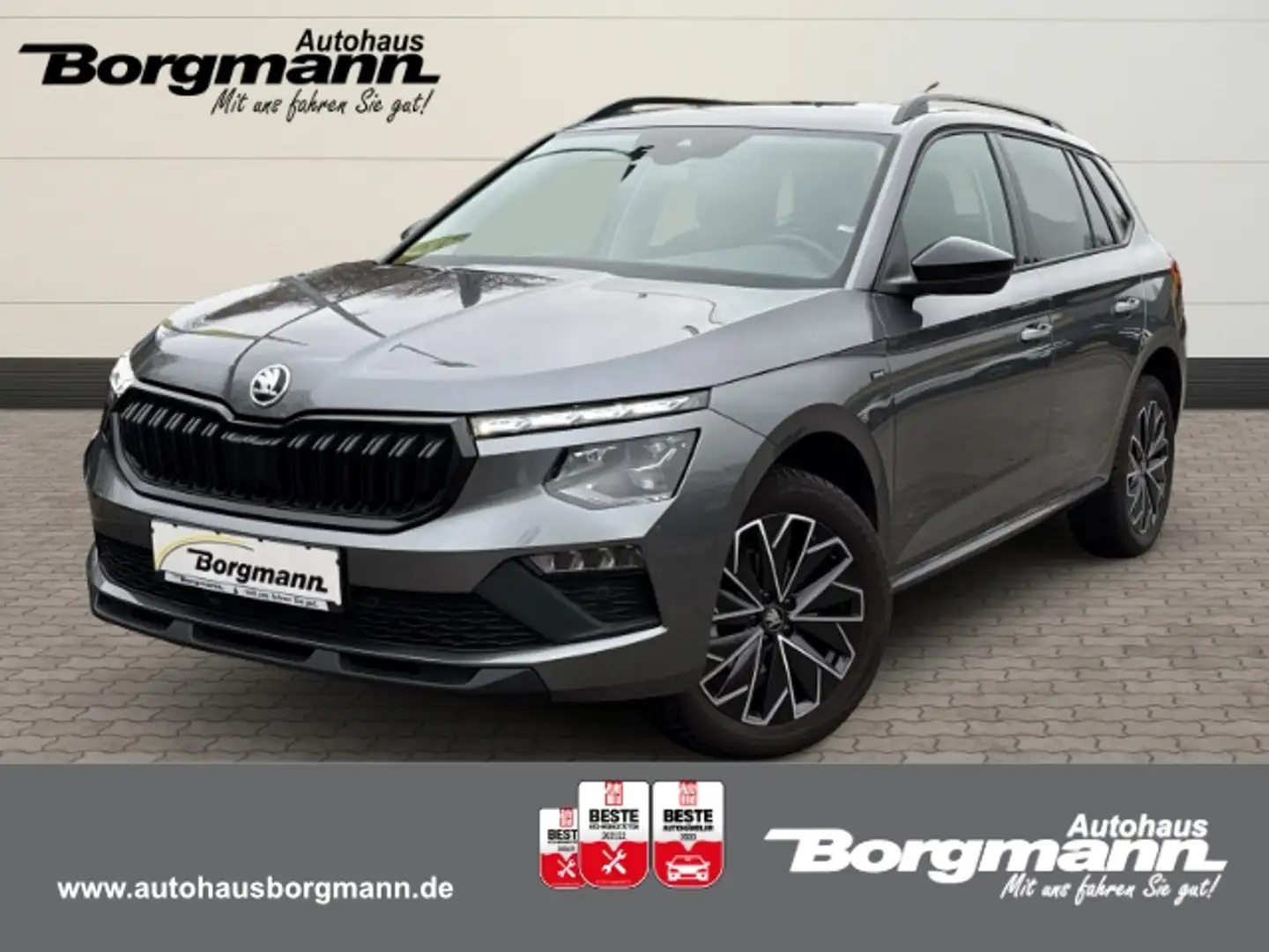 Skoda Kamiq Selection - LED - Apple CarPlay - Rückfahrkamera Grigio - 1