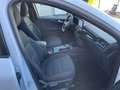 Ford Kuga PHEV ST-Line Navi Kamera Glasdach ACC Blanc - thumbnail 16