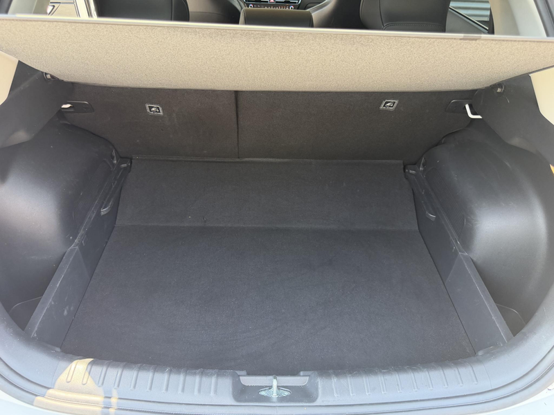 Kia e-Niro EV Light Advanced 64.8 kWh | Stoel/Stuurwielverwar — photo 12