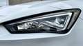SEAT Leon 2.0 TDI 150 CV DSG Style Bianco - thumbnail 7