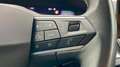 SEAT Leon 2.0 TDI 150 CV DSG Style Bianco - thumbnail 17