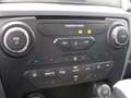 Ford Ranger 2.2 tdci double cab Limited 160cv auto Bianco - thumbnail 13