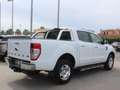 Ford Ranger 2.2 tdci double cab Limited 160cv auto Bianco - thumbnail 4