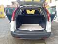 Honda CR-V CR-V IV 2013 2.2 Comfort 4wd Bianco - thumbnail 5