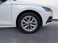 Skoda Octavia Combi 2.0 TDI Style Weiß - thumbnail 12