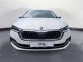 Skoda Octavia Combi 2.0 TDI Style Weiß - thumbnail 13
