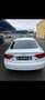 Audi A5 Sportback 2.0 tdi quattro Bianco - thumbnail 4