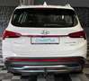 Hyundai SANTA FE Trend Hybrid 2WD, Automatik, LED, Leder Blanc - thumbnail 6