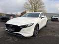 Mazda 3 | BOSE | Rückfahrkam.| BOSE | adapt. Tempomat Wit - thumbnail 2