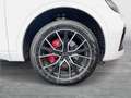 Audi Q5 40 TDI quattro admired Weiß - thumbnail 6