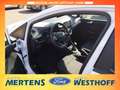 Ford Fiesta Active 1.0 EcoBoost EU6d Weiß - thumbnail 6