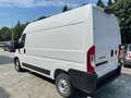 Fiat Ducato FURGONE 35Q.LI 2.2MJT 140CV PASSO MEDIO TETTO ALTO Bianco - thumbnail 6