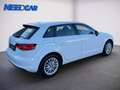 Audi A3 Sportback 1.6 TDI Ambiente Weiß - thumbnail 3