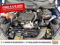Ford EcoSport 1.5 ecoblue plus s&s 100cv my19 Blu/Azzurro - thumbnail 12