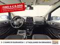 Ford EcoSport 1.5 ecoblue plus s&s 100cv my19 Blu/Azzurro - thumbnail 10