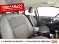 Ford EcoSport 1.5 ecoblue plus s&s 100cv my19 Blu/Azzurro - thumbnail 7