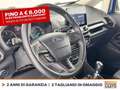 Ford EcoSport 1.5 ecoblue plus s&s 100cv my19 Blu/Azzurro - thumbnail 17