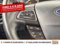 Ford EcoSport 1.5 ecoblue plus s&s 100cv my19 Blu/Azzurro - thumbnail 20