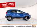 Ford EcoSport 1.5 ecoblue plus s&s 100cv my19 Blu/Azzurro - thumbnail 5