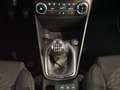 Ford Fiesta Titanium 1,0 EcoBoost Start/Stop Grau - thumbnail 9
