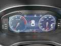 SEAT Ibiza 1.0 TSI 110CV FR XL Blanc - thumbnail 14
