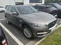 Jaguar F-Pace 2.0d Aut. /€6.600 netto / Pano / Leder / Navi / Brun - thumbnail 1