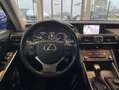 Lexus IS 300 300h Style Edition / Navi - Black - thumbnail 12