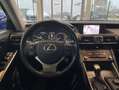 Lexus IS 300 300h Style Edition / Navi - Nero - thumbnail 12