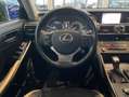 Lexus IS 300 300h Style Edition / Navi - crna - thumbnail 11