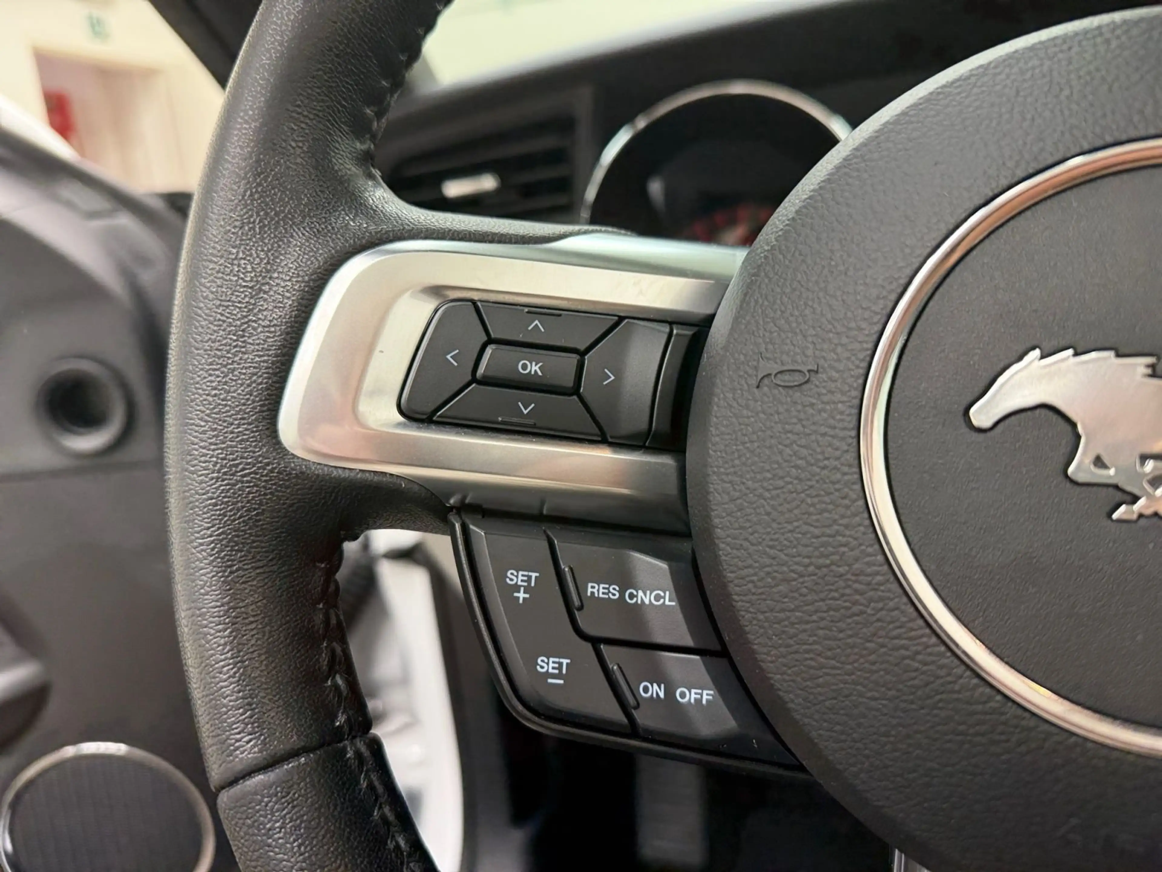 Ford Mustang 2.3 EcoBoost Cabrio — photo 14