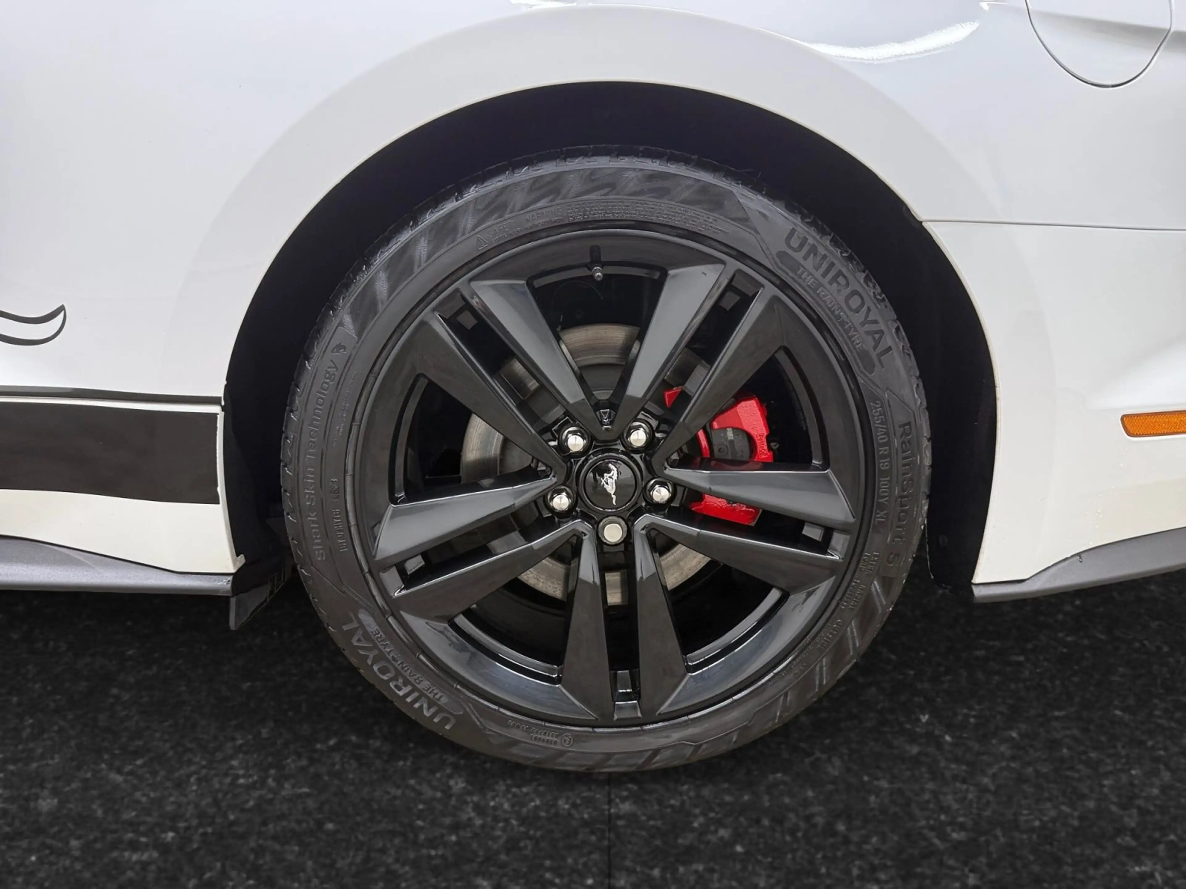 Ford Mustang 2.3 EcoBoost Cabrio — photo 5