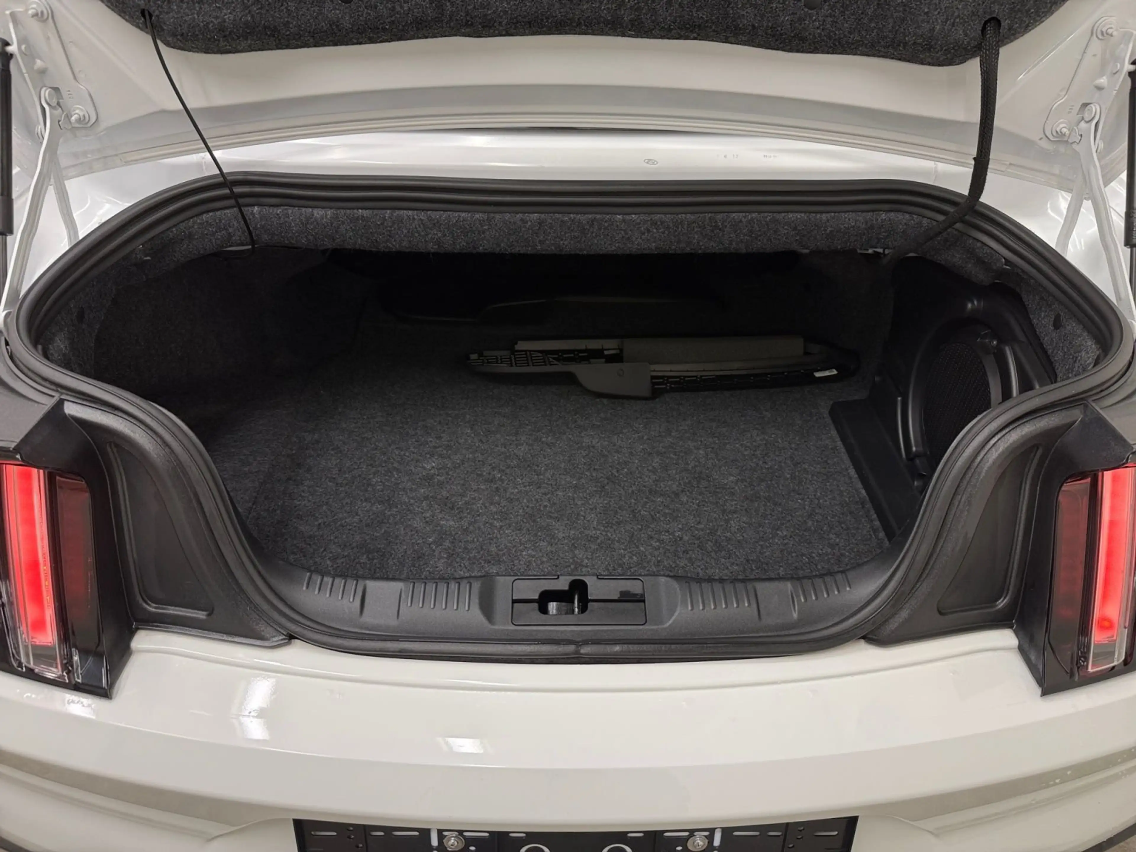 Ford Mustang 2.3 EcoBoost Cabrio — photo 15