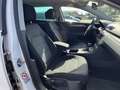Volkswagen Passat Variant 2.0TDI Comfortline DSG  B.Motion Weiß - thumbnail 6