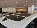 Volkswagen T7 Multivan 2.0TDI Batalla Corta Style DSG 110kW Blanco - thumbnail 9