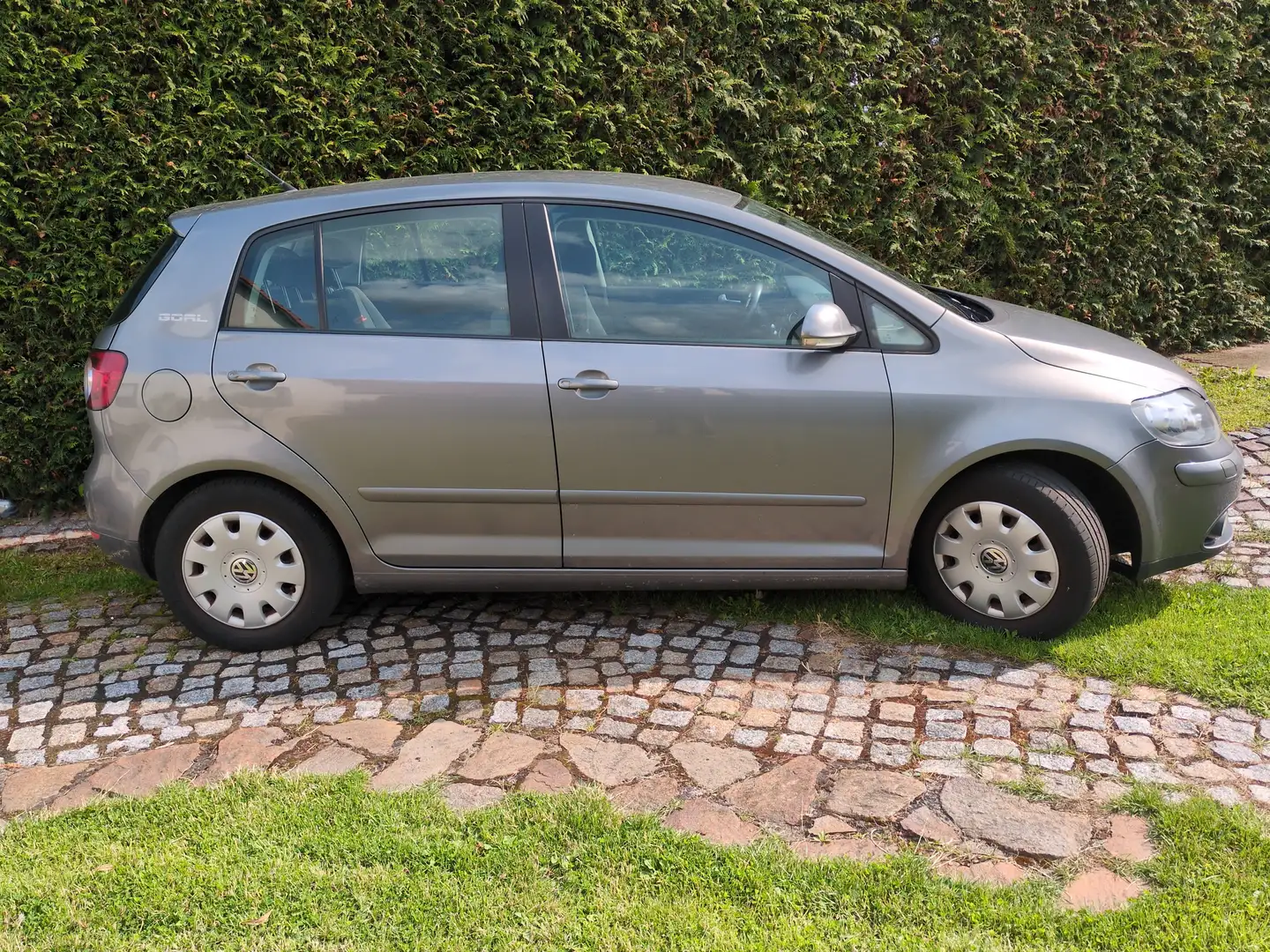 Volkswagen Golf Plus Golf Plus 1.6 Goal Gris - 1